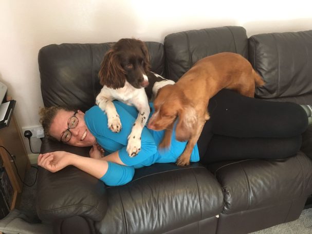 2 dogs sitting on owner